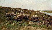 Mauve, Anton Sheep on a dyke Spain oil painting artist